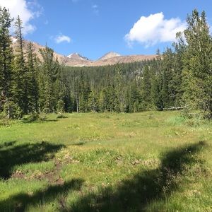 Meet your Posher, Joey